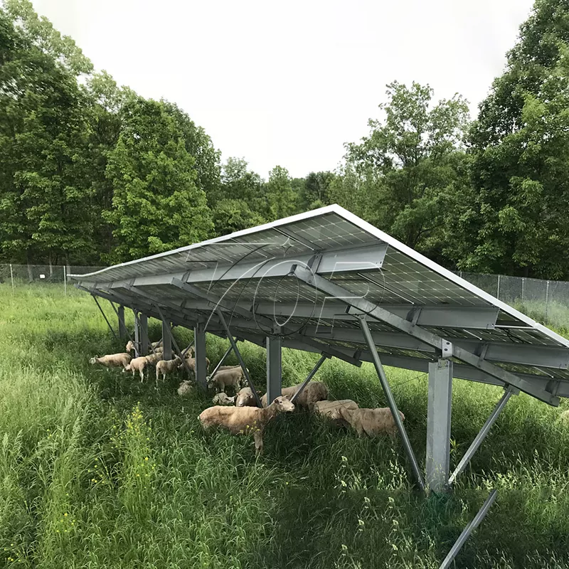 Panel solar kanggo peternakan: mbantu kelestarian energi pertanian kanggo tingkat sing luwih dhuwur!